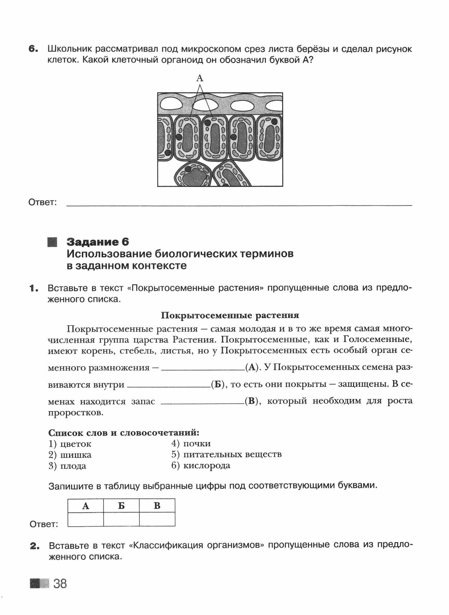 ВПР. Биология 5кл. Диагностический контроль. Котикова Н. В.