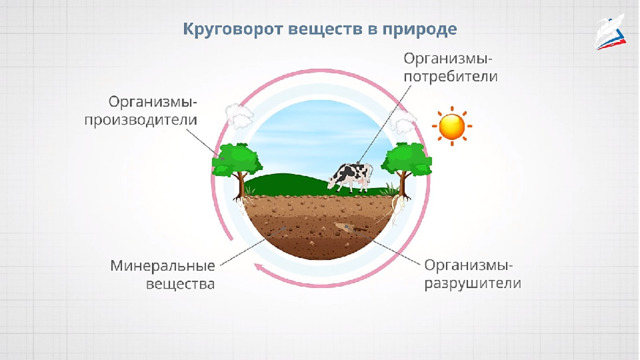 Круговорот жизни 3 класс. Великий круговорот веществ. Окружающий мир 3 класс Великий круговорот жизни модель. Великий круговорот жизни схема. Схема Великого круговорота жизни 3 класс окружающий мир.