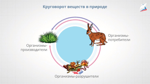 Окружающий мир 3 класс круговорот веществ модель. Модель круговорота веществ в природе 3. Великий круговорот жизни потребители. Модель Великого круговорота веществ. Модель круговорота веществ в природе 3 класс окружающий мир.