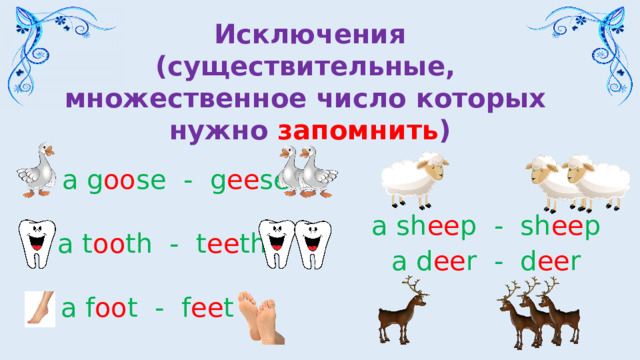 Исключения  (существительные, множественное число которых нужно запомнить ) a g oo se - g ee se a sh ee p - sh ee p a d ee r - d ee r a t oo th - t ee th a f oo t - f ee t 