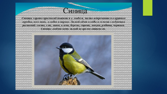 Презентация внеклассного мероприятия " Музыка в природе" 1 класс