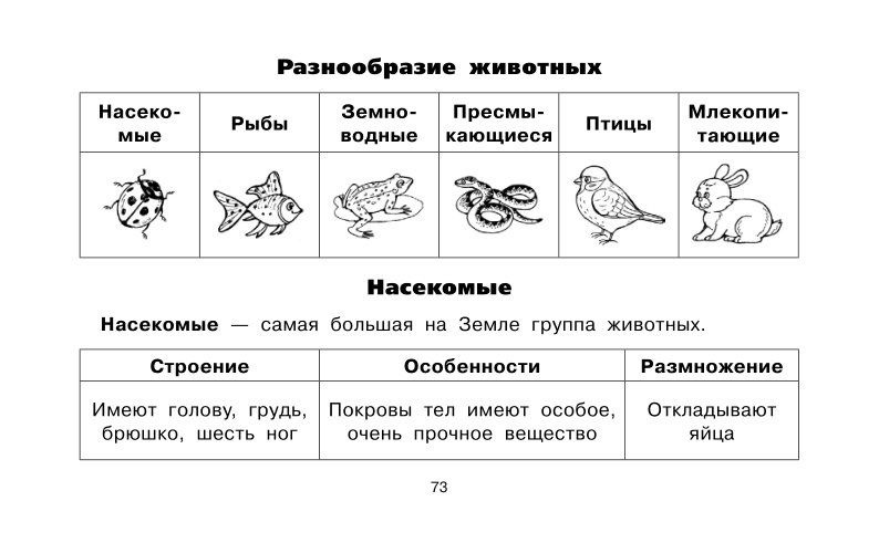 Памятка 4 класс окружающий мир. Таблица по окружающему миру 2 класс транспорт. Таблица для 2 класса по окружающему миру транспорт со сносками. Окружайка таблица октябрь.