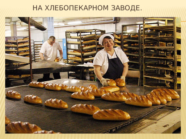  На хлебопекарном заводе. 