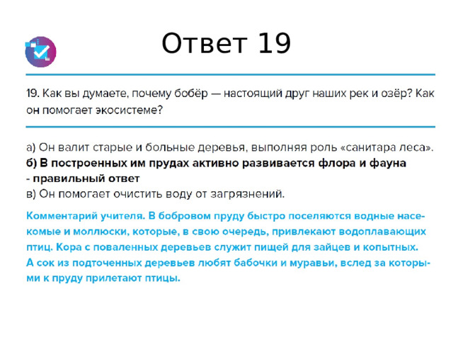 Ответ 19 