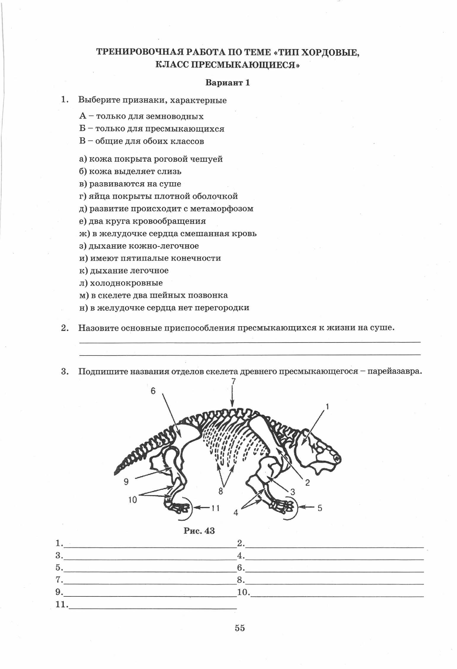Всероссийская проверочная работа биология 11 класс