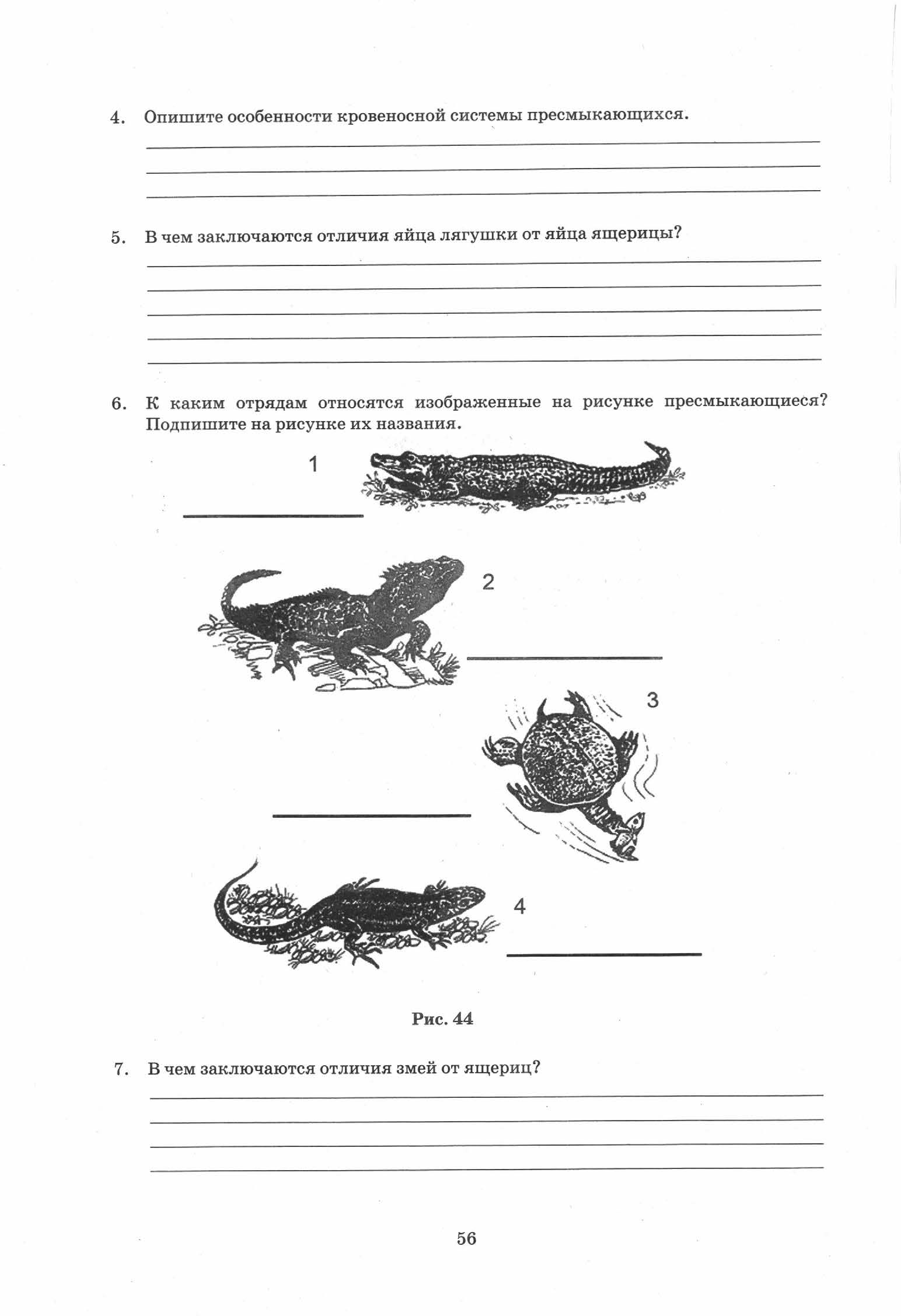 Готовимся к ВПР. Биология. 7кл. 2 часть. Лернер Г. И.