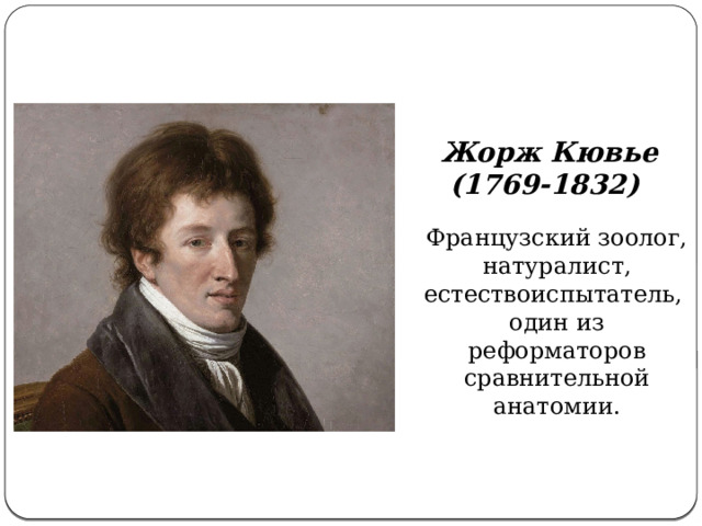 Жорж Кювье   (1769-1832) Французский зоолог, натуралист, естествоиспытатель, один из реформаторов сравнительной анатомии. 