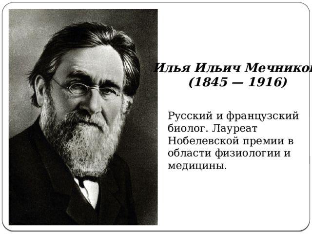 Илья Ильич Мечников  (1845 — 1916) Русский и французский биолог. Лауреат Нобелевской премии в области физиологии и медицины.  
