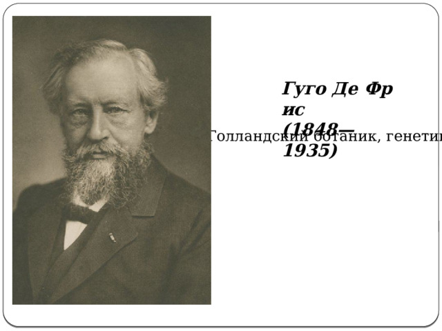 Гуго Де Фрис (1848—1935) Голландский ботаник, генетик.   