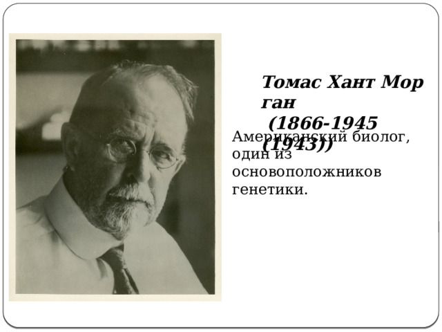 Томас Хант Морган  (1866-1945 (1943))  Американский биолог, один из основоположников генетики. 