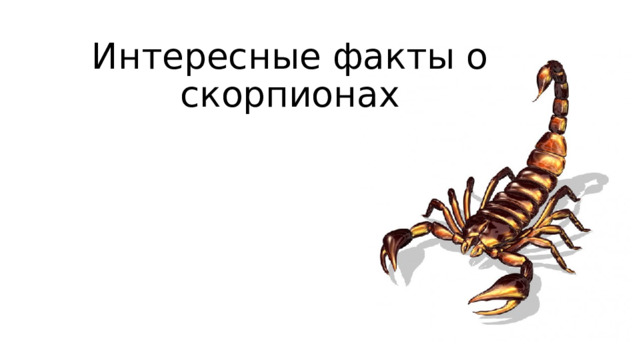 Интересные факты о скорпионах   
