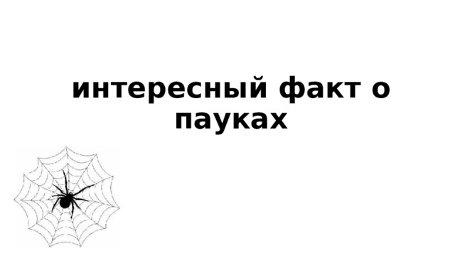 интересный факт о пауках   