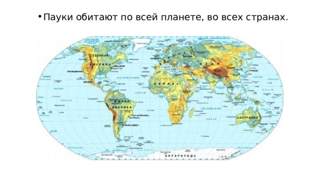 Пауки обитают по всей планете, во всех странах. 