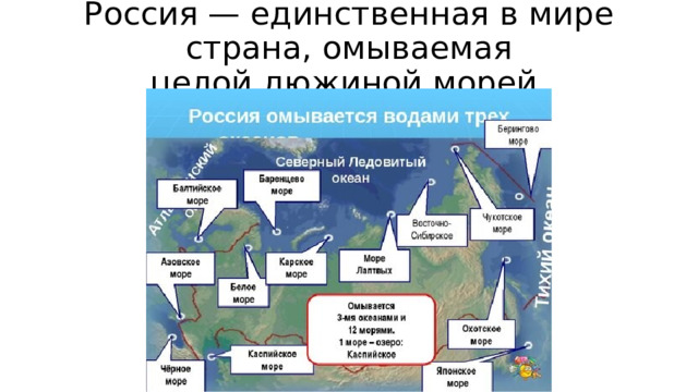 Россия — единственная в мире страна, омываемая целой дюжиной морей. 