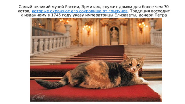 Самый великий музей России, Эрмитаж, служит домом для более чем 70 котов, которые охраняют его сокровища от грызунов . Традиция восходит к изданному в 1745 году указу императрицы Елизаветы, дочери Петра Великого. 