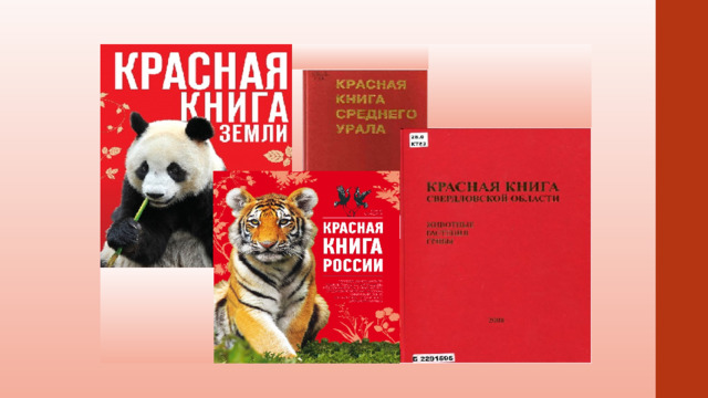 Проект по теме "Красная книга Артемовского района"
