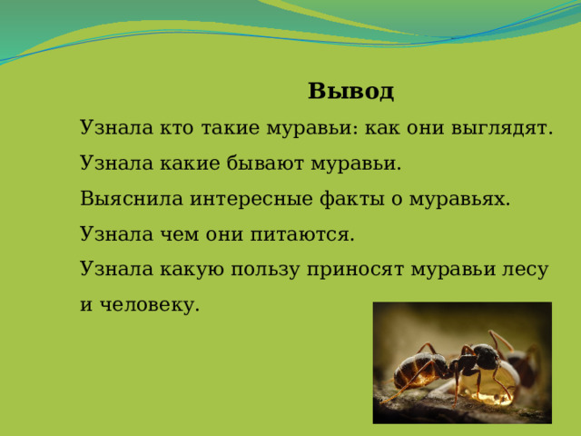  Вывод  Узнала кто такие муравьи: как они выглядят.  Узнала какие бывают муравьи.  Выяснила интересные факты о муравьях.  Узнала чем они питаются.  Узнала какую пользу приносят муравьи лесу и человеку.   