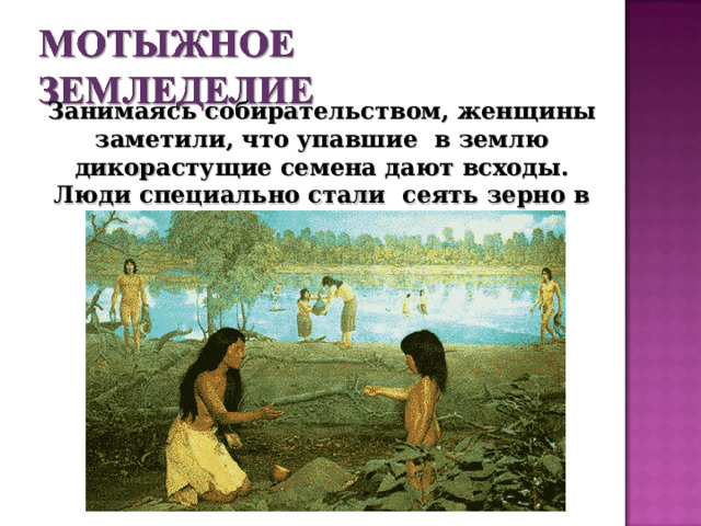 Занимаясь собирательством, женщины заметили, что упавшие в землю дикорастущие семена дают всходы. Люди специально стали сеять зерно в разрыхлённую почву.  