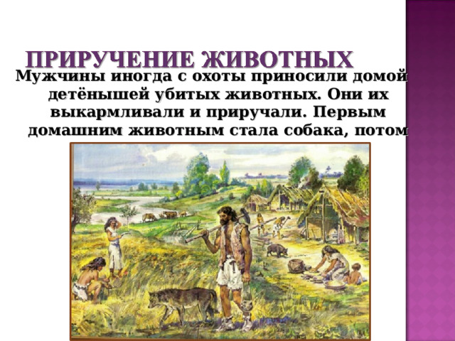Мужчины иногда с охоты приносили домой детёнышей убитых животных. Они их выкармливали и приручали. Первым домашним животным стала собака, потом свиньи, овцы, козы и коровы.  