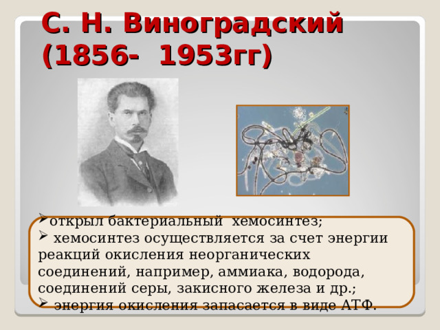   С. Н. Виноградский (1856- 1953гг) открыл бактериальный хемосинтез;  хемосинтез осуществляется за счет энергии реакций окисления неорганических соединений, например, аммиака, водорода, соединений серы, закисного железа и др.;  энергия окисления запасается в виде АТФ. 