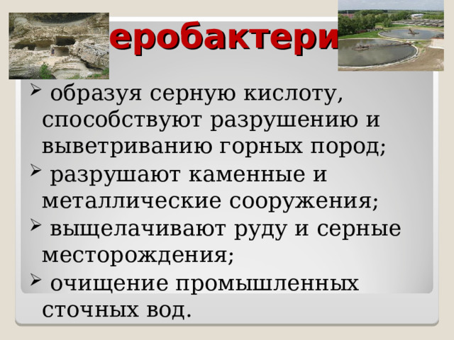 Серобактерии  образуя серную кислоту, способствуют разрушению и выветриванию горных пород;  разрушают каменные и металлические сооружения;  выщелачивают руду и серные месторождения;  очищение промышленных сточных вод. 
