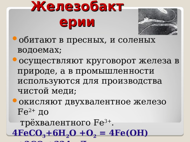 Хемосинтез егэ биология