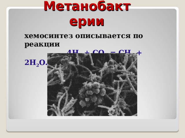 Метанобактерии хемосинтез описывается по реакции  4H 2 + CO 2 = CH 4 + 2H 2 O. 