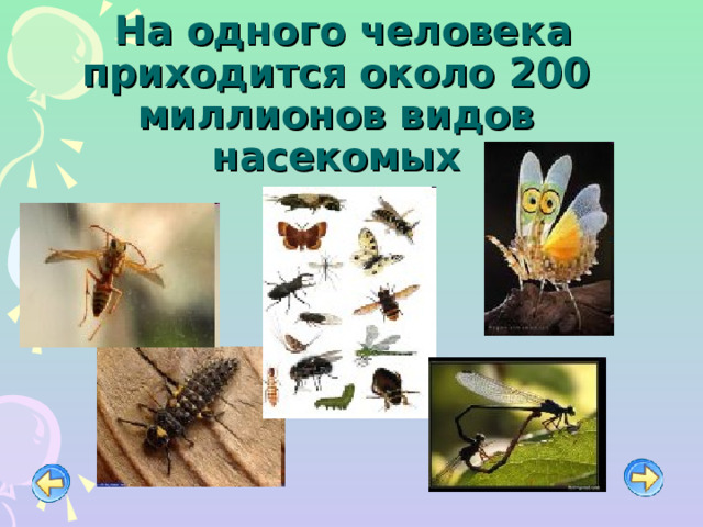  На одного человека приходится около 200 миллионов видов насекомых 