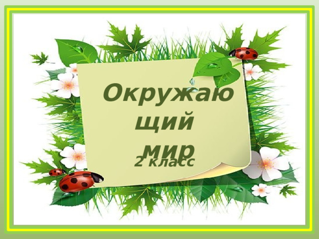 Окружающий мир 2 класс 