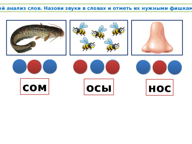 Звуковой анализ слов. Назови звуки в словах и отметь их нужными фишками сом осы нос 