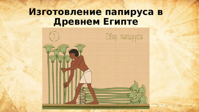 Изготовление папируса в Древнем Египте 