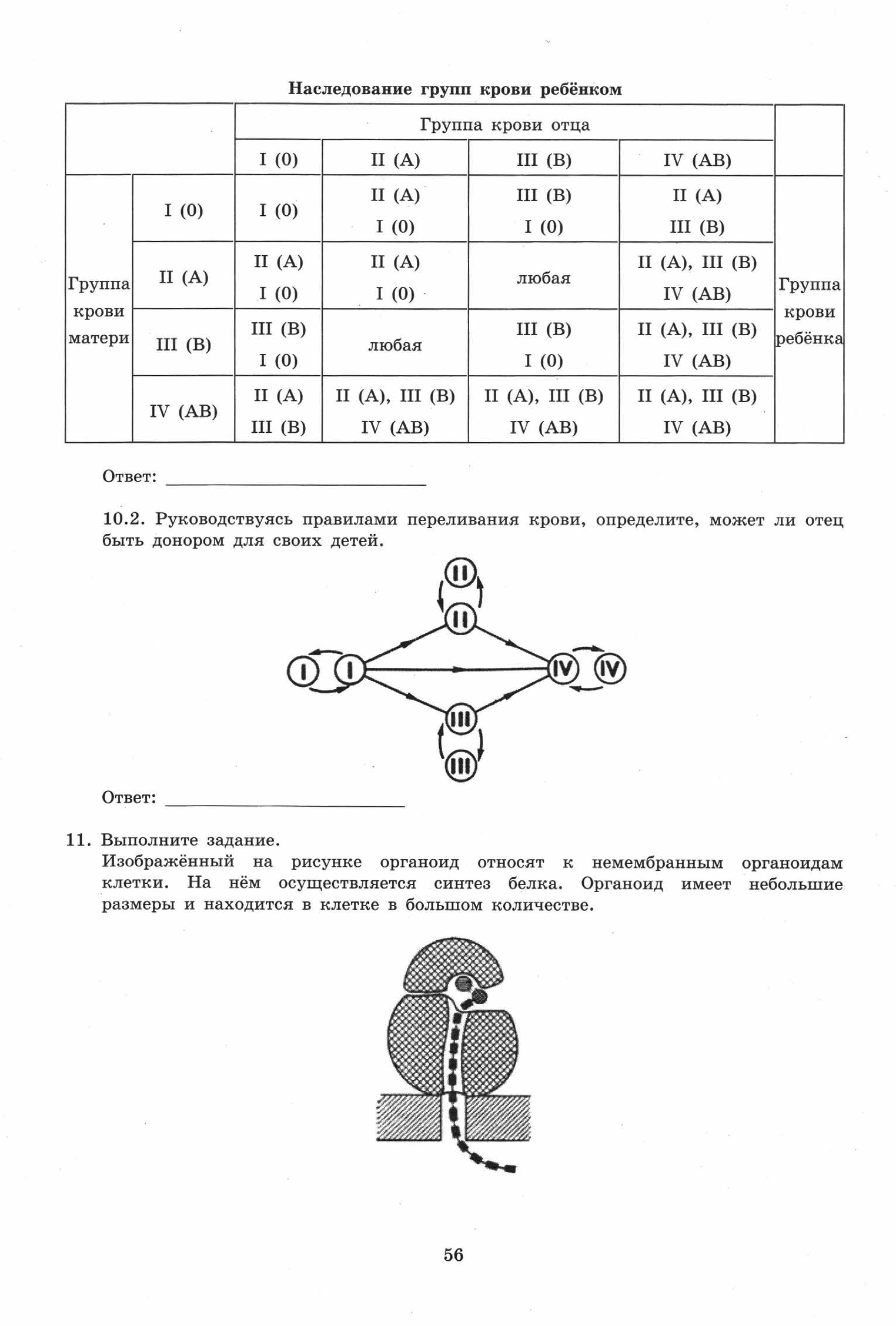 ВПР Биология. 11кл. Варианты 1 - 5._Банколе А.В.