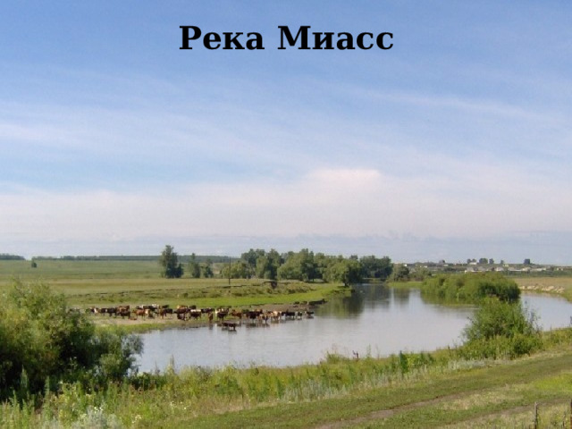 Река Миасс 