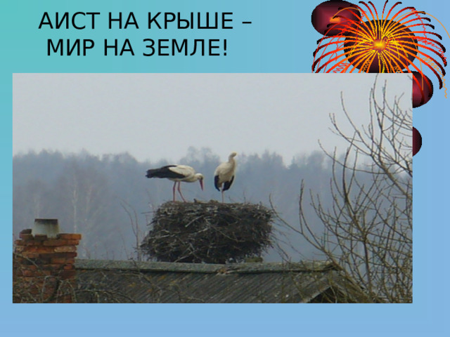 АИСТ НА КРЫШЕ –  МИР НА ЗЕМЛЕ! 