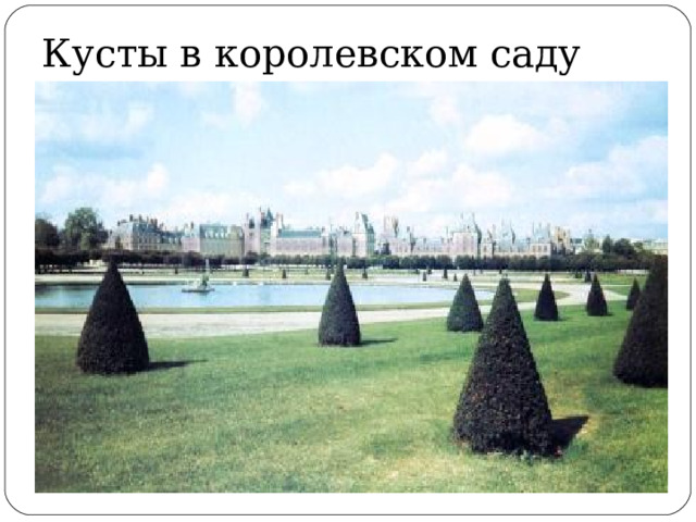 Кусты в королевском саду 
