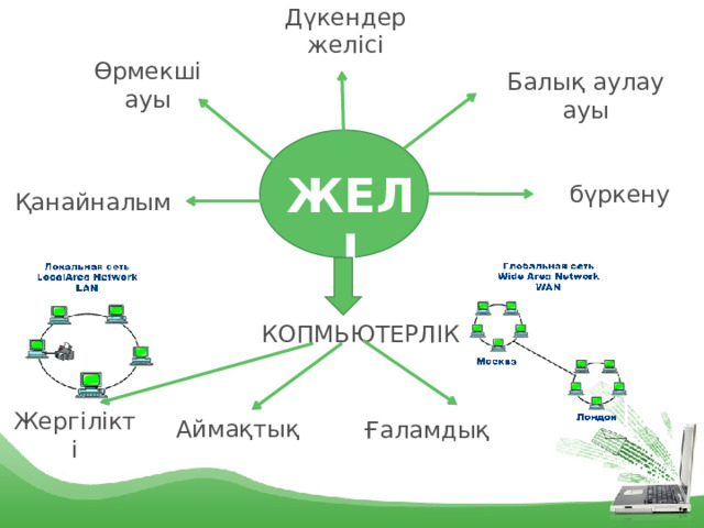 Дүкендер желісі Өрмекші ауы Балық аулау ауы ЖЕЛІ бүркену Қанайналым КОПМЬЮТЕРЛІК Жергілікті Аймақтық Ғаламдық 