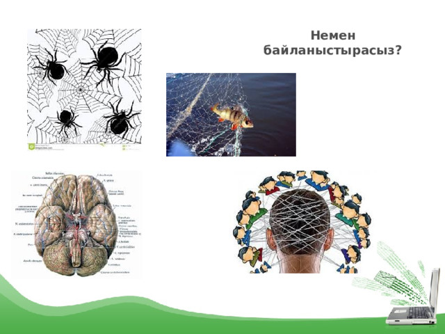 Немен байланыстырасыз? 