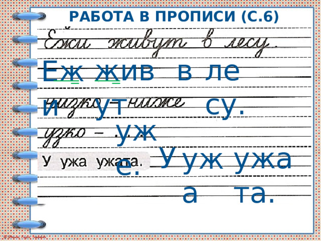 Работа в прописи (с.6) лесу. живут в Ежи уже. ужата. У ужа 