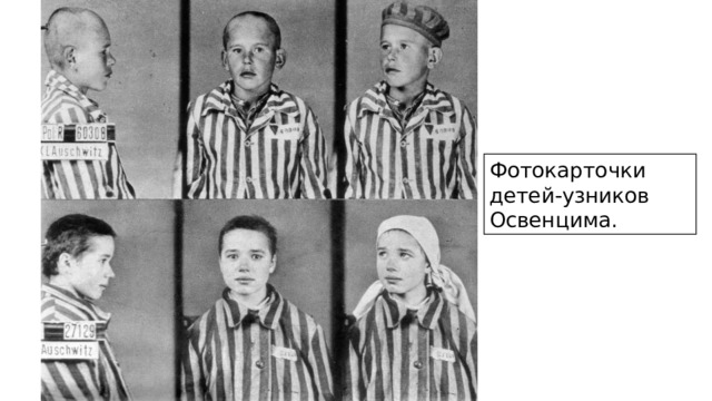 Фотокарточки детей-узников Освенцима. 