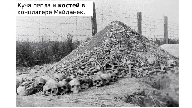 Куча пепла и  костей  в концлагере Майданек. 