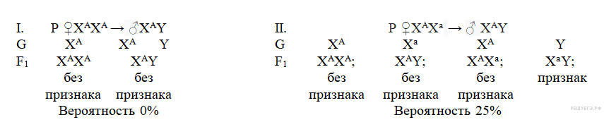 Рецессивный ген дальтонизма находится в х