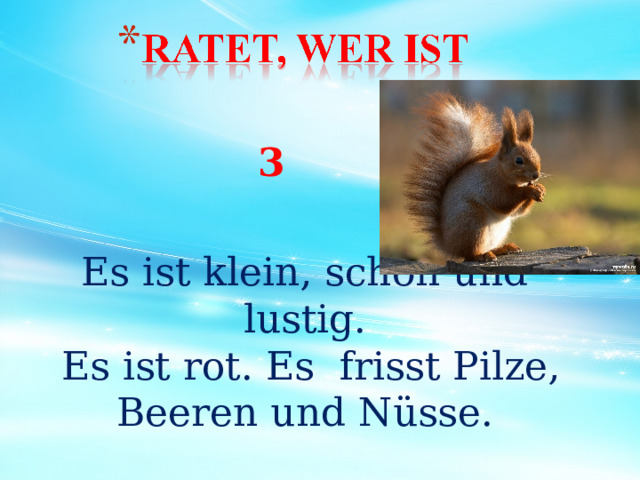 Es ist klein, schön und lustig.  Es ist rot. Es frisst Pilze, Beeren und Nüsse. 3 29 