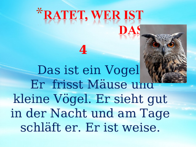 Das ist ein Vogel.  Er frisst Mäuse und kleine Vögel. Er sieht gut in der Nacht und am Tage schläft er. Er ist weise. 4 29 