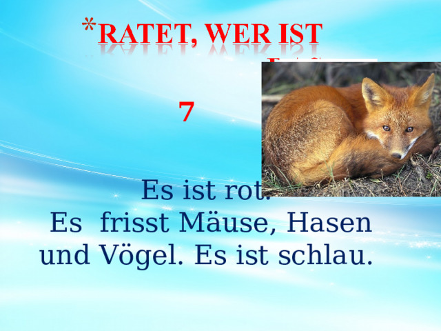 Es ist rot.  Es frisst Mäuse, Hasen und Vögel. Es ist schlau. 7 29 