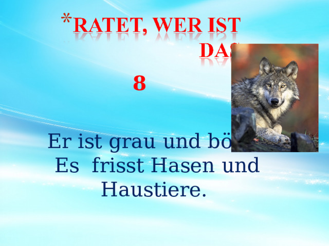 Er ist grau und böse.  Es frisst Hasen und Haustiere. 8 29 