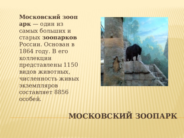 Московский   зоопарк  — один из самых больших и старых  зоопарков  России. Основан в 1864 году. В его коллекции представлены 1150 видов животных, численность живых экземпляров составляет 8856 особей. Московский зоопарк 