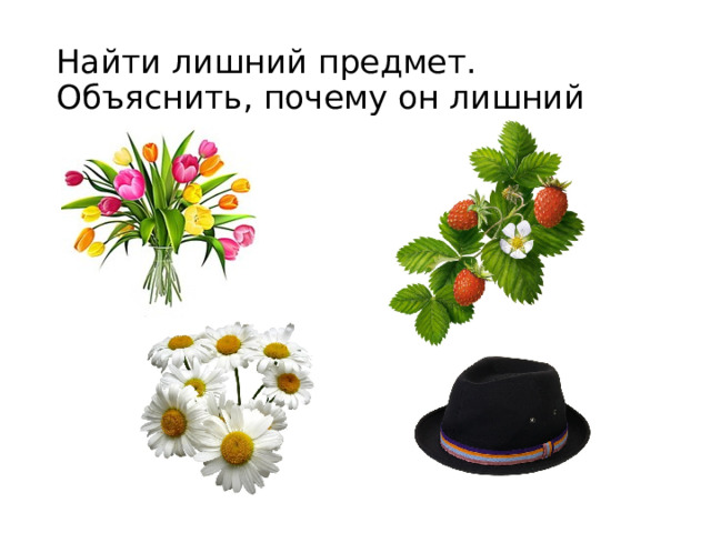 Найти лишний предмет.  Объяснить, почему он лишний  