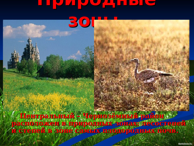 Природные зоны   Центральный – Чернозёмный район расположен в природных зонах: лесостепей и степей в зоне самых плодородных почв. 