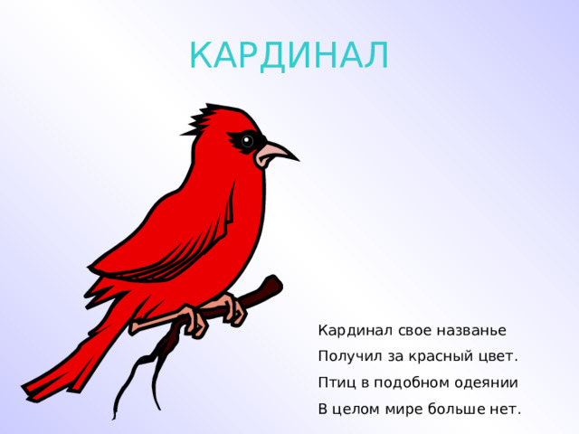 КАРДИНАЛ Кардинал свое названье Получил за красный цвет. Птиц в подобном одеянии В целом мире больше нет. 