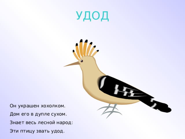 УДОД Он украшен хохолком. Дом его в дупле сухом. Знает весь лесной народ: Эти птицу звать удод. 